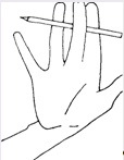 Основные направления работы по развитию мелкой моторики рук у детей с общим недоразвитием речи