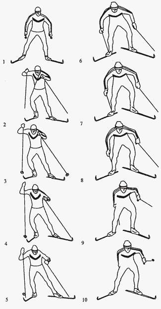 Техника лыжников