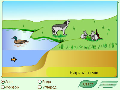 Экологические основы природопользования