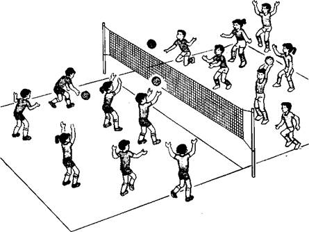 Педагогические условия обучения младших школьников элементам игры в баскетбол
