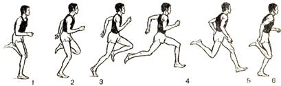 Методические рекомендации по обучению барьерному и гладкому бегу для учащихся 4-11 классов