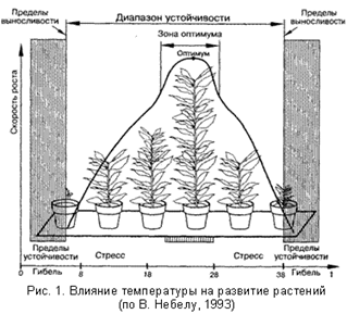 Роль экологических факторов в динамике численности организмов
