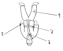 Методика обучения технике выполнения броска через спину в борьбе дзюдо